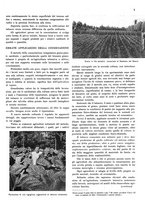 giornale/RML0028570/1936/unico/00000105