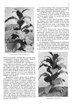 giornale/RML0028570/1936/unico/00000133
