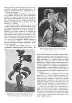 giornale/RML0028570/1936/unico/00000135