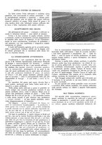 giornale/RML0028570/1936/unico/00000141