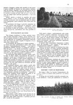 giornale/RML0028570/1936/unico/00000143
