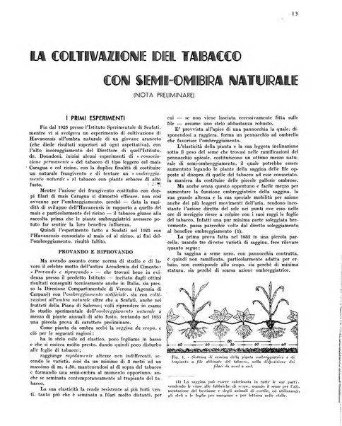 Il tabacco organo dell'industria e del commercio del tabacco