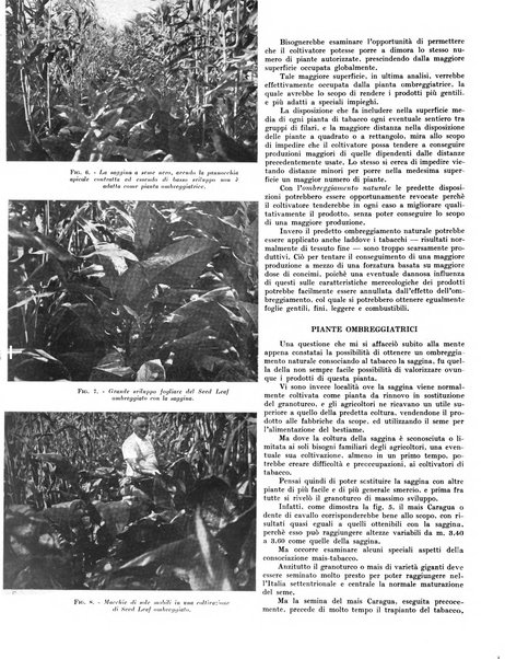 Il tabacco organo dell'industria e del commercio del tabacco