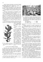 giornale/RML0028570/1938/unico/00000192