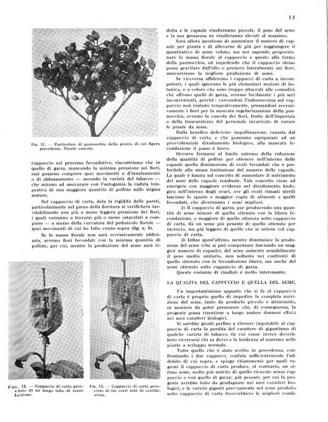 Il tabacco organo dell'industria e del commercio del tabacco