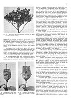 giornale/RML0028570/1938/unico/00000193