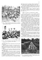 giornale/RML0028570/1938/unico/00000197