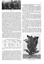 giornale/RML0028570/1938/unico/00000217