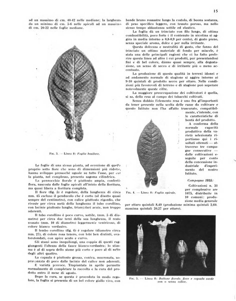 Il tabacco organo dell'industria e del commercio del tabacco