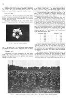 giornale/RML0028570/1938/unico/00000228
