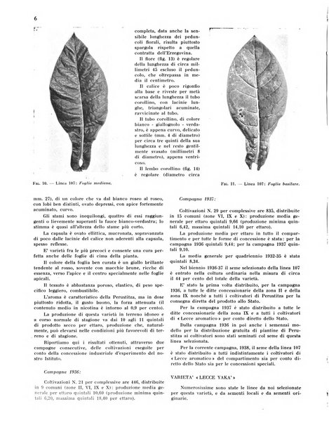 Il tabacco organo dell'industria e del commercio del tabacco