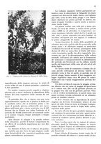 giornale/RML0028570/1938/unico/00000259