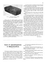 giornale/RML0028570/1938/unico/00000295