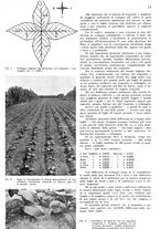 giornale/RML0028570/1939/unico/00000083