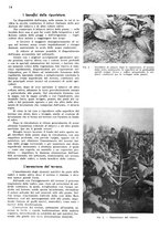 giornale/RML0028570/1939/unico/00000084