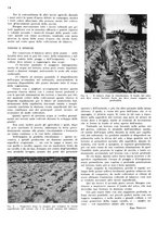 giornale/RML0028570/1941/unico/00000110