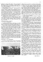 giornale/RML0028570/1941/unico/00000159