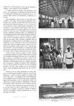 giornale/RML0028570/1941/unico/00000183