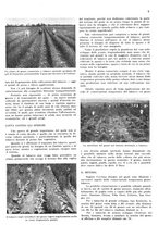 giornale/RML0028570/1941/unico/00000205