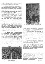 giornale/RML0028570/1943/unico/00000013