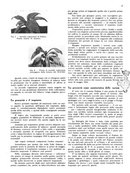 Il tabacco organo dell'industria e del commercio del tabacco