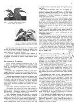giornale/RML0028570/1943/unico/00000033