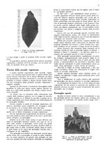 giornale/RML0028570/1943/unico/00000035