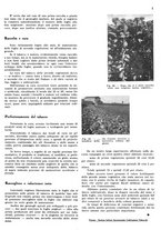 giornale/RML0028570/1943/unico/00000055