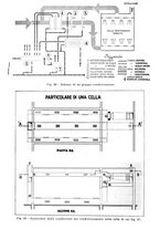 giornale/RML0028570/1946-1947/unico/00000194