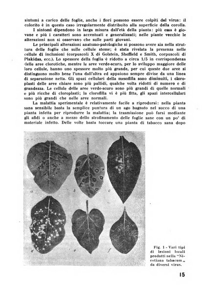 Il tabacco organo dell'industria e del commercio del tabacco