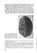 giornale/RML0028570/1946-1947/unico/00000420