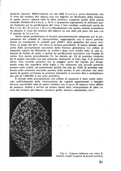 Il tabacco organo dell'industria e del commercio del tabacco