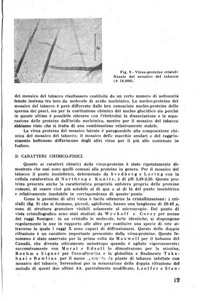 Il tabacco organo dell'industria e del commercio del tabacco