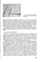 giornale/RML0028570/1946-1947/unico/00000459