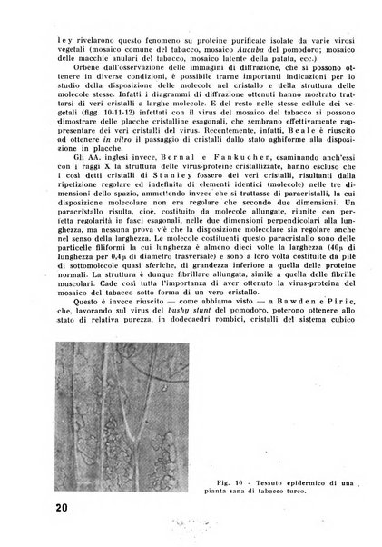 Il tabacco organo dell'industria e del commercio del tabacco