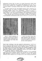 giornale/RML0028570/1946-1947/unico/00000461