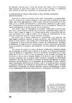 giornale/RML0028570/1946-1947/unico/00000464