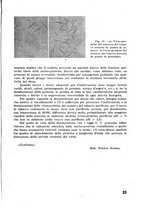 giornale/RML0028570/1946-1947/unico/00000465