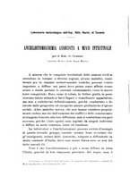 giornale/RML0028669/1913/V.1/00000412