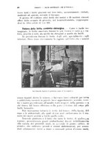 giornale/RML0028669/1913/V.2/00000052