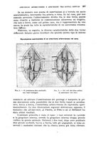 giornale/RML0028669/1918/V.1/00000353