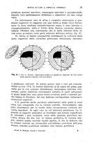 giornale/RML0028669/1920/V.1/00000027