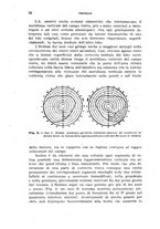 giornale/RML0028669/1920/V.1/00000030