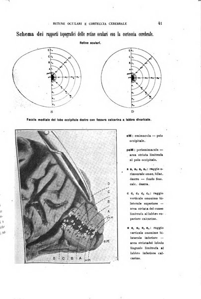 Annali di medicina navale e coloniale