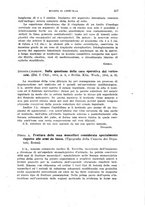 giornale/RML0028669/1920/V.1/00000431