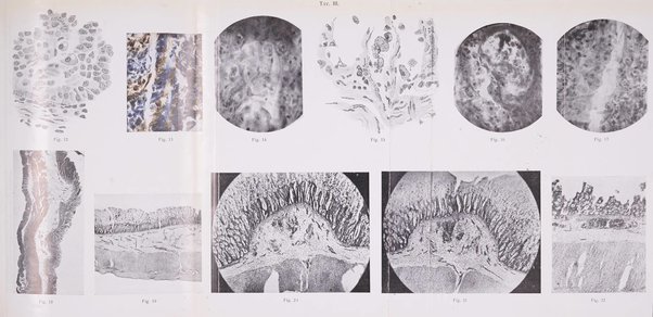 Annali di medicina navale e coloniale