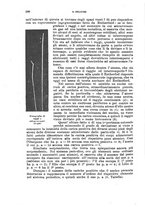 giornale/RML0028669/1924/V.2/00000320