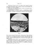 giornale/RML0028669/1929/V.1/00000216