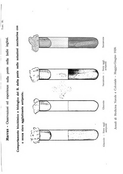 Annali di medicina navale e coloniale