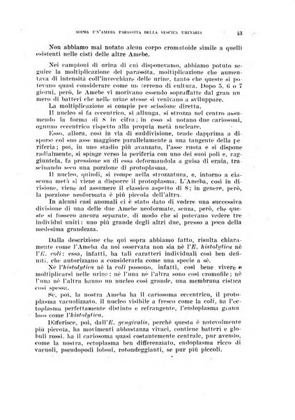 Annali di medicina navale e coloniale